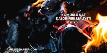 Kömürlü Kat Kaloriferi Maliyeti 2025