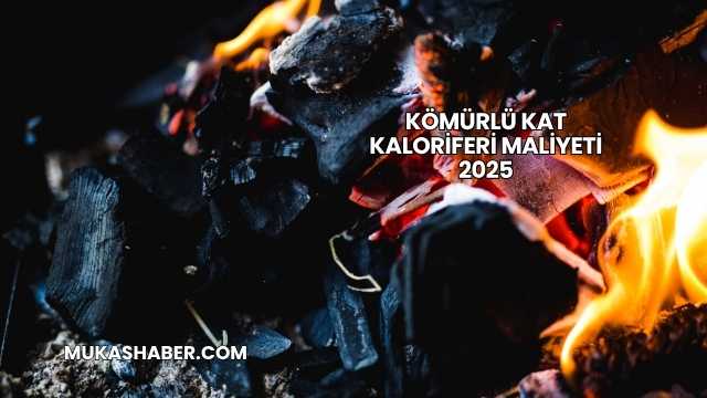 Kömürlü Kat Kaloriferi Maliyeti 2025