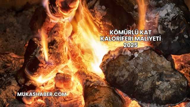 Kömürlü Kat Kaloriferi Maliyeti 2025