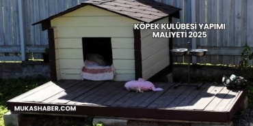 Köpek Kulübesi Yapımı Maliyeti 2025