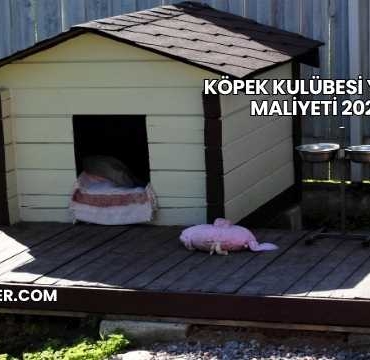 Köpek Kulübesi Yapımı Maliyeti 2025