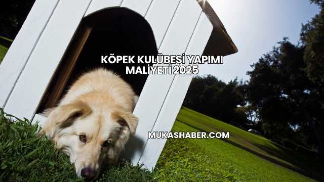 Köpek Kulübesi Yapımı Maliyeti 2025