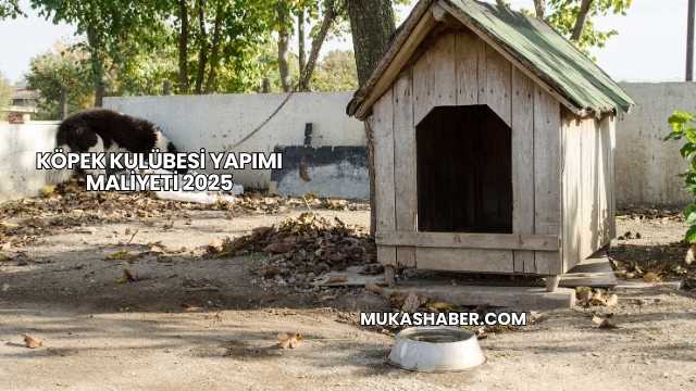 Köpek Kulübesi Yapımı Maliyeti 2025