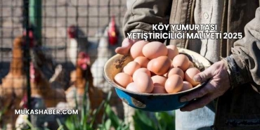 Köy Yumurtası Yetiştiriciliği Maliyeti 2025