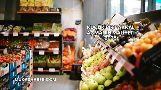 Küçük Bir Bakkal Açmanın Maliyeti 2025