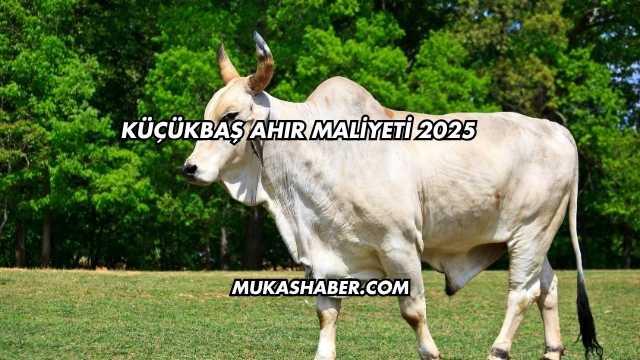 Küçükbaş Ahır Maliyeti 2025