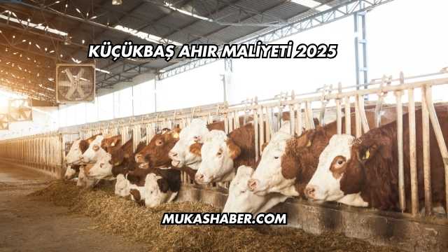 Küçükbaş Ahır Maliyeti 2025