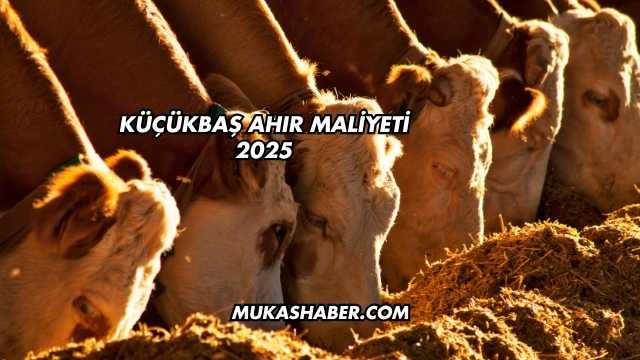 Küçükbaş Ahır Maliyeti 2025