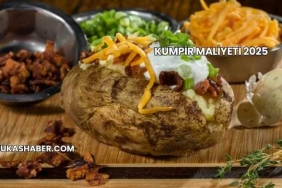 Kumpir Maliyeti 2025