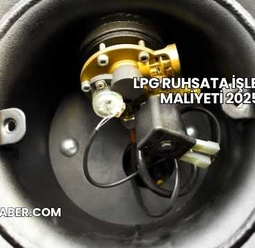 LPG Ruhsata İşletme Maliyeti 2025