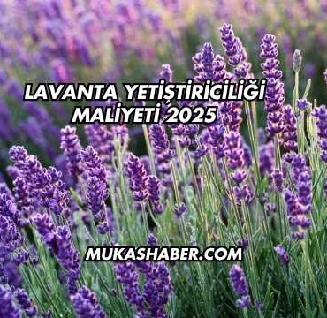 Lavanta Yetiştiriciliği Maliyeti 2025