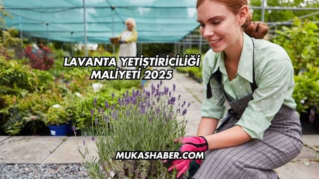 Lavanta Yetiştiriciliği Maliyeti 2025