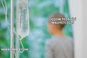 Lösemi Tedavisi Maliyeti 2025