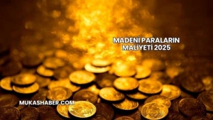 Madeni Paraların Maliyeti 2025