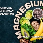 Magnezyum Metabolizmayı Hızlandırır mı?