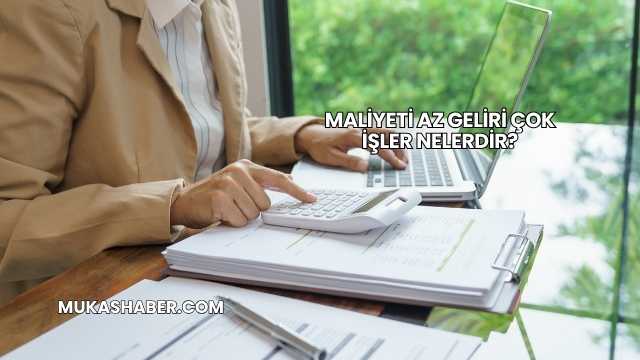 Maliyeti Az Geliri Çok İşler Nelerdir?