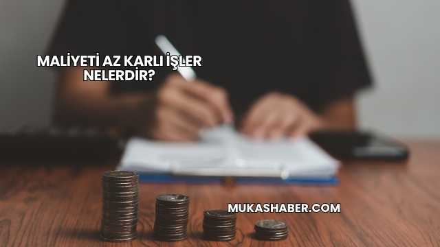 Maliyeti Az Karlı İşler Nelerdir?