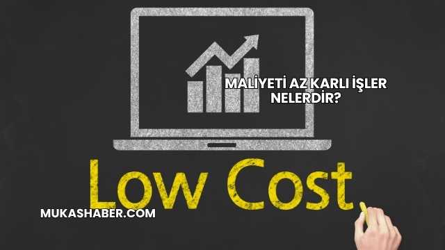 Maliyeti Az Karlı İşler Nelerdir?