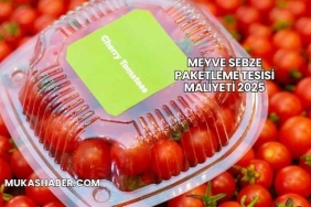 Meyve Sebze Paketleme Tesisi Maliyeti 2025