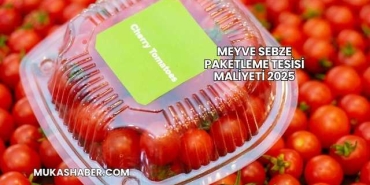 Meyve Sebze Paketleme Tesisi Maliyeti 2025