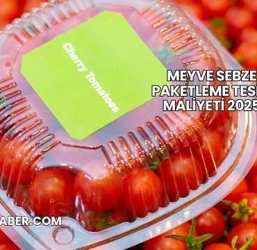 Meyve Sebze Paketleme Tesisi Maliyeti 2025