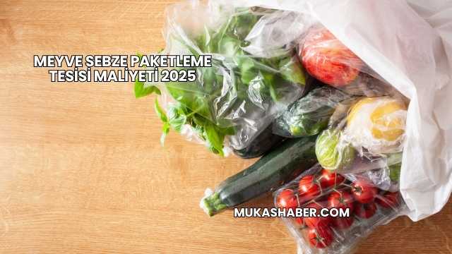 Meyve Sebze Paketleme Tesisi Maliyeti 2025