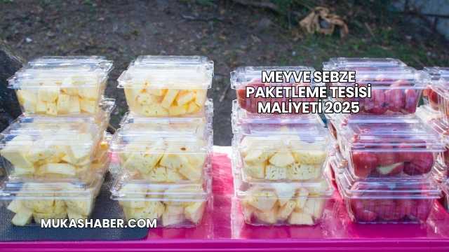 Meyve Sebze Paketleme Tesisi Maliyeti 2025
