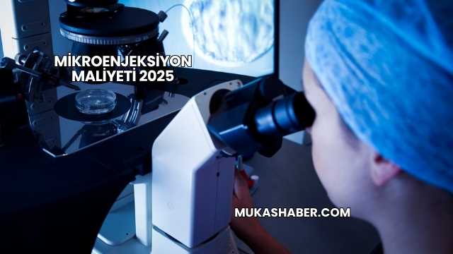 Mikroenjeksiyon Maliyeti 2025