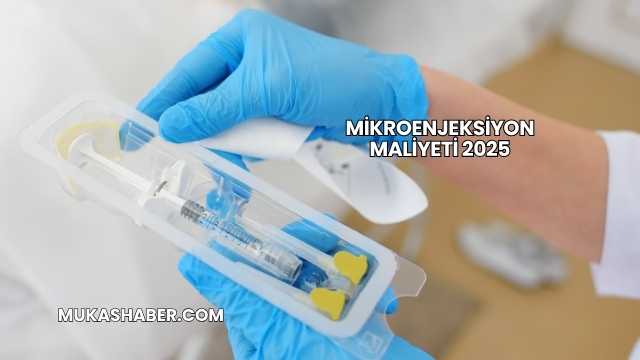 Mikroenjeksiyon Maliyeti 2025