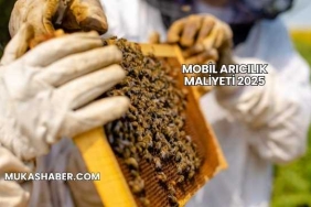 Mobil Arıcılık Maliyeti 2025