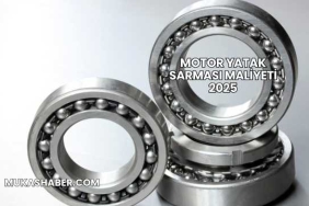 Motor Yatak Sarması Maliyeti 2025