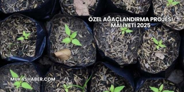 Özel Ağaçlandırma Projesi Maliyeti 2025
