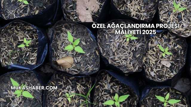 Özel Ağaçlandırma Projesi Maliyeti 2025