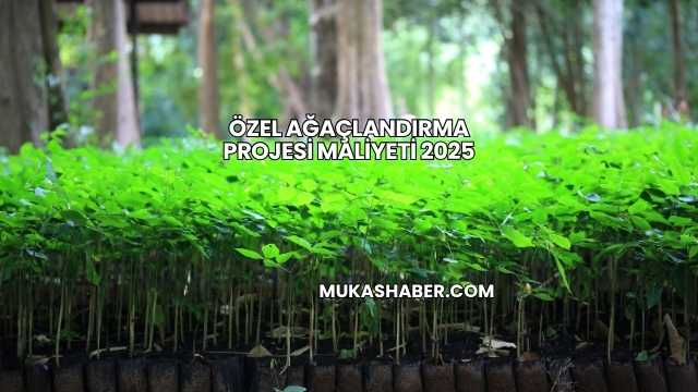 Özel Ağaçlandırma Projesi Maliyeti 2025