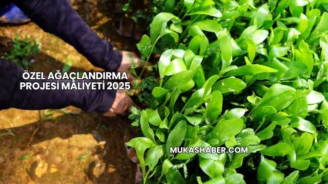 Özel Ağaçlandırma Projesi Maliyeti 2025