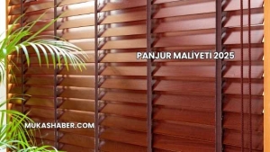 Panjur Maliyeti 2025