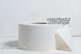 Peçete Üretimi Maliyeti 2025