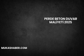 Perde Beton Duvar Maliyeti 2025