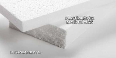 Plastik Köpük Maliyeti 2025