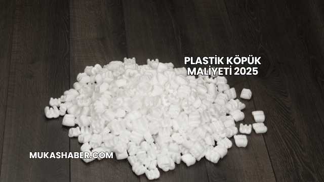 Plastik Köpük Maliyeti 2025