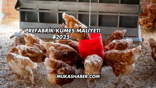 Prefabrik Kümes Maliyeti 2025