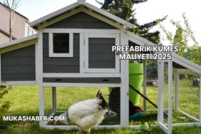 Prefabrik Kümes Maliyeti 2025