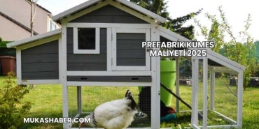 Prefabrik Kümes Maliyeti 2025