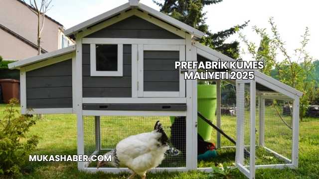 Prefabrik Kümes Maliyeti 2025