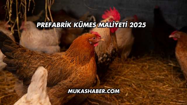 Prefabrik Kümes Maliyeti 2025