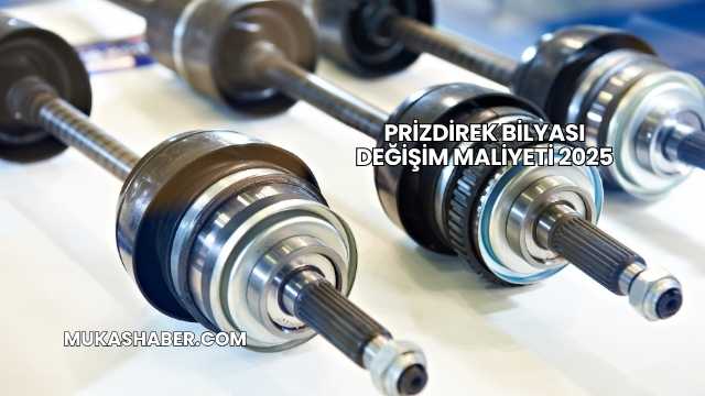 Prizdirek Bilyası Değişim Maliyeti 2025