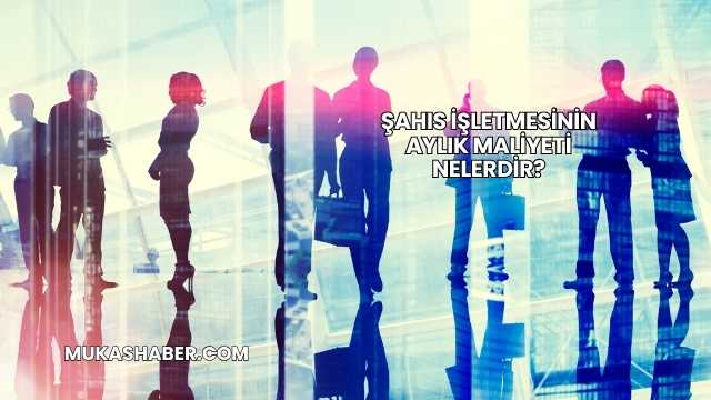 Şahıs İşletmesinin Aylık Maliyeti Nelerdir?