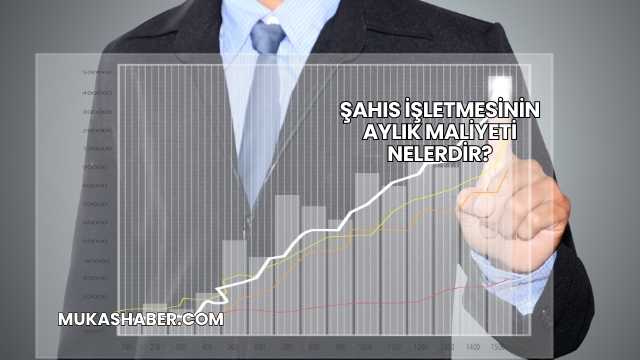 Şahıs İşletmesinin Aylık Maliyeti Nelerdir?
