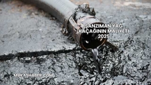 Şanzıman Yağ Kaçağının Maliyeti 2025