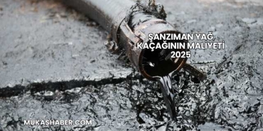 Şanzıman Yağ Kaçağının Maliyeti 2025